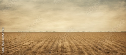 Old fashioned picture of a plowed field with copy space image