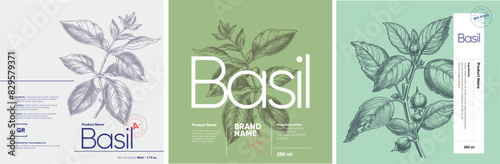 Three elegant labels showcasing basil plant illustrations in an engraving style, set against pastel-colored backgrounds with prominent, stylish typography.