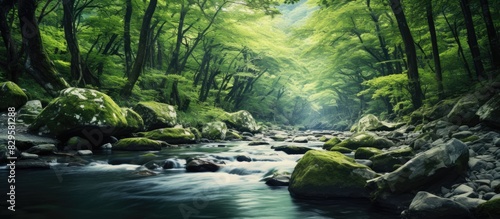 Nature composition featuring a river flowing deeply within a dense mountain forest with a tranquil ambiance and plenty of copy space image