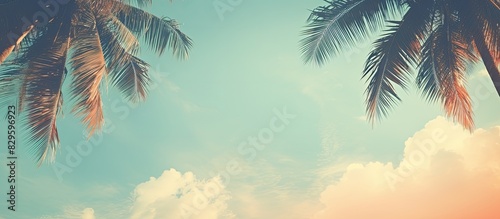 Vintage background with a retro toned poster featuring coconut palm tree foliage against a sky backdrop providing a serene copy space image