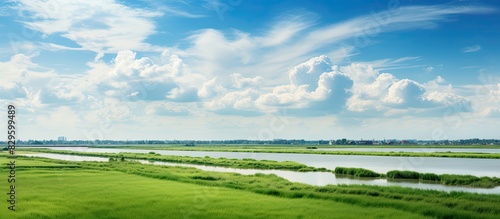 The picturesque landscape of the South Holland polder with a vast flat terrain and serene waterways framed by a beautiful horizon with copy space image