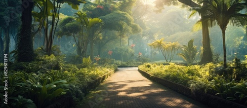 A picturesque botanical garden with lush greenery and palm trees is captured in the image with ample copy space
