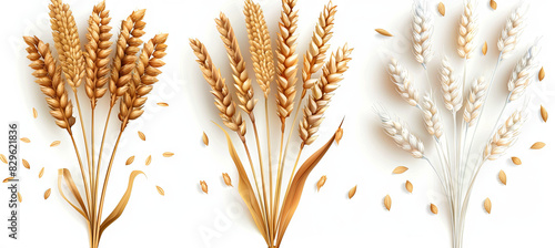 Wheat barley oats rice