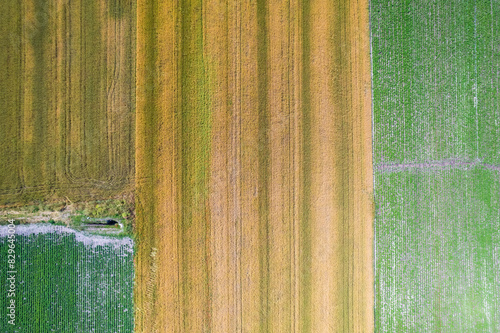 Rural landscape, cultivated fields with colors and transversal lines seen from above