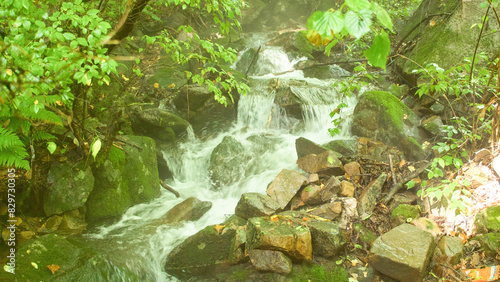 Long exposure shot of a lush forest stream flows over moss-covered rocks.