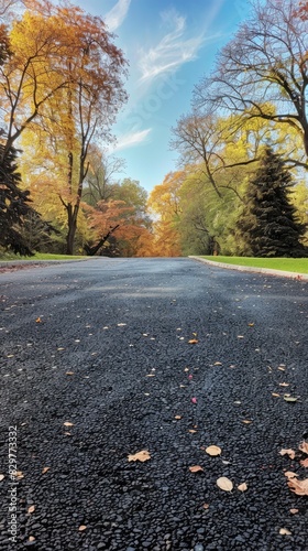 a scenic park, verdant green grass and towering trees frame a clear blue sky, while an asphalt road stretches into the distance, presenting a tranquil nature landscape perfect.
