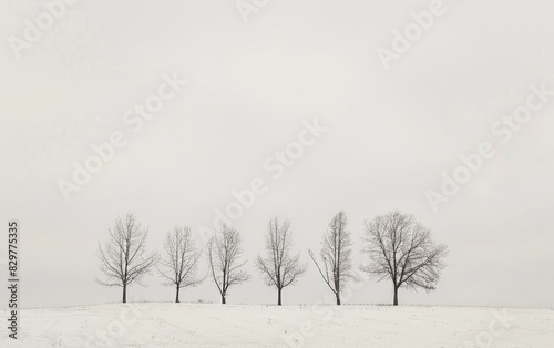 The Serene Majesty of Snow Drifted Trees Amidst a Soft Winter Glow, Natures Monochrome Masterpiece Ai Generated