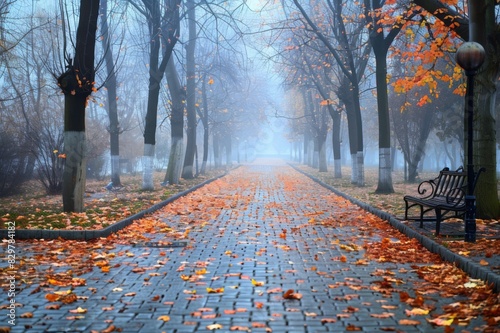 Autumn park with an alley covered with fallen leaves, in the morning fog