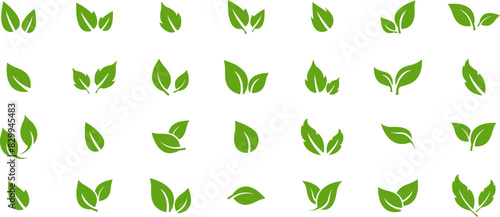 Green leaf icons set. Leaves icon on transparent background. Collection green leaf. Elements design for natural, eco, vegan, bio labels. Vector illustration EPS 10