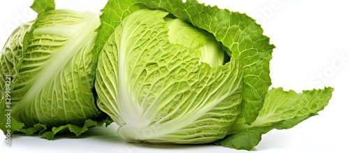 A cabbage being cut with a white background providing empty space for potential image placement. with copy space image. Place for adding text or design