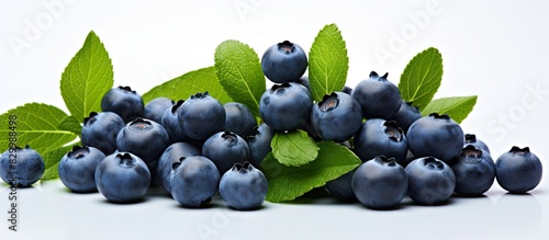 Closeup of fresh blueberries and melissa leaves standing alone on a white background in a clear and focused image with plenty of space for adding text or graphics. with copy space image