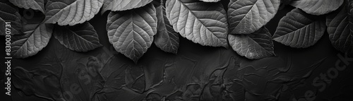 Monochrome close-up of textured leaves creating a dark, dramatic, and elegant botanical pattern. Ideal for backgrounds or nature-themed designs.