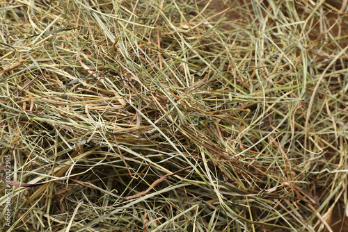 Pile of dried hay on table, closeup view