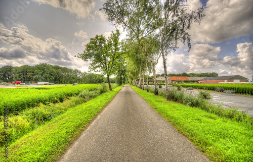 Agricultural companies along a country road in a rural lanscape in The Netherlands.
