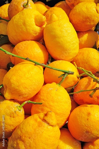 View of fresh Amalfi lemons on the Amalfi Coast in Italy