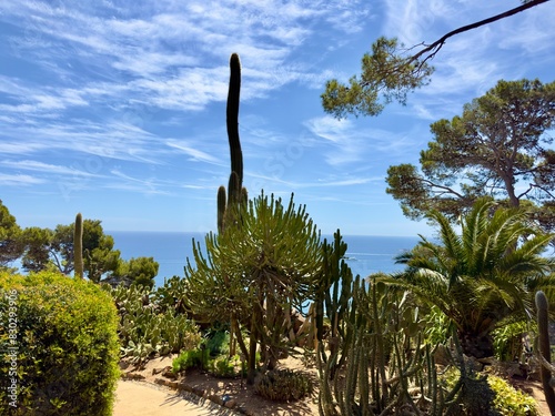 view through palms, cactus and pine towards the Mediterranean Sea in the botanical garden Jardins de Cap Roig, Calella de Palafrugell, Costa Brava, Girona, Catalonia, Spain