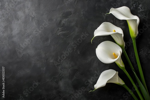 elegant white calla lily flowers on black background funeral condolence card sympathy floral concept
