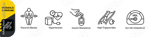 Symptoms of Metabolic Syndrome banner web icon vector illustration concept with an icon of Hypertension, Insulin Resistance, High Triglycerides, Low HDL-Cholesterol, Visceral Obesity