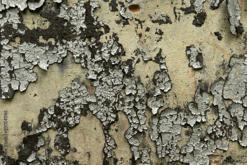 An old, pealed paint on the wall of abandoned building. Cracked paint texture.