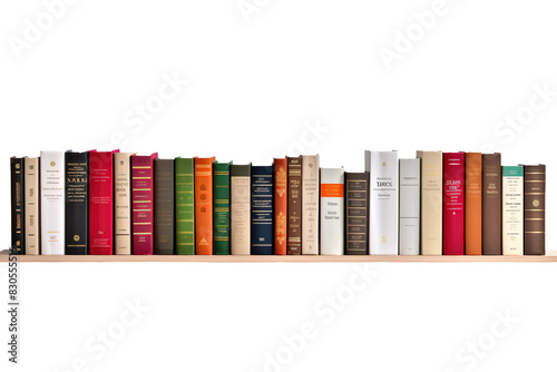 The Literary Guardians: A Glimpse Into the World of Knowledge on White or PNG Transparent Background.