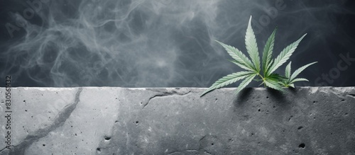 Grey stone granite style background with a single cannabis leaf providing ample copy space for an image