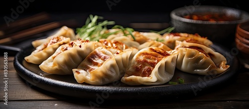 Copy space image of delicious looking Gyoza captured in a photograph