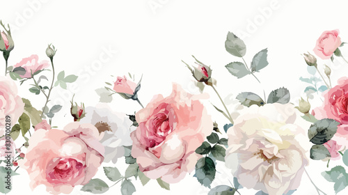Watercolor flowers pink white roses. Floral summer re
