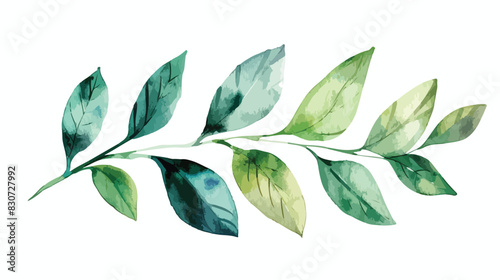 Watercolor leaf. Floral clip art. Leaves perfectly fo
