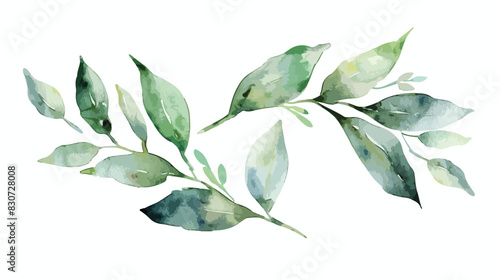 Watercolor leaf. Floral clip art. Leaves perfectly fo