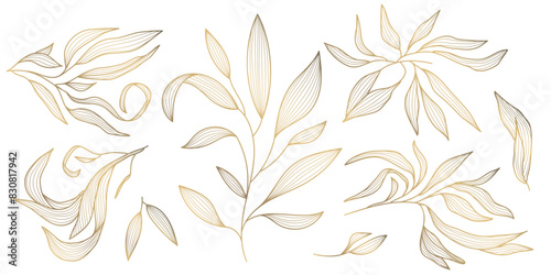 Vector set of gold wavy leaves isolated, plant branch line illustration, luxury foliage decoration. Vintage ornament elements, jungle, summer background