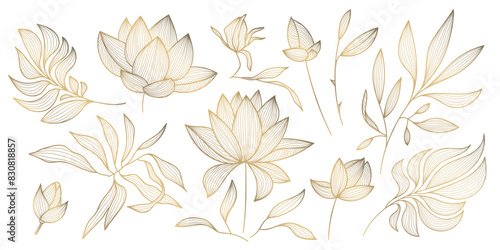 Vector set of gold leaves isolated, plant branches, lotus line illustration, luxury foliage decoration. Vintage ornament elements, jungle, summer background