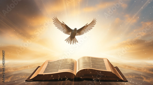 Through learning and faith, the holy book of the Bible illuminates the teachings of Jesus Christ and the presence of the Holy Spirit, guiding believers towards the light of God. bible, holy, spirit.