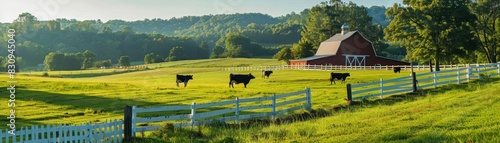 A serene rural landscape with a red barn, a white picket fence, and grazing cattle in lush green pastures, with copy space.