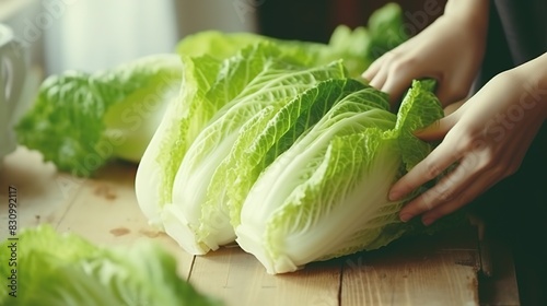 Chinese cabbage with woman hand prepare for cooking, Organic vegetables