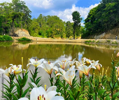 A beautiful view from Ziro Aquarium... Seasoning flowers India (ziro)