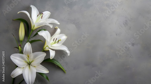 elegant sympathy condolence card with delicate lily flowers on muted grey background minimalist funeral concept with copy space