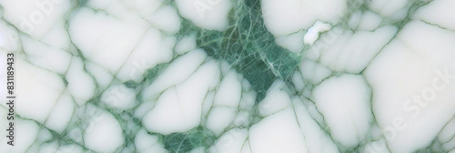 Texture de luxe de modèle vert de marbre blanc pour faire la cuisine en céramique lumière carrelage blanc fond mur de pierre sol en granit style naturel sans couture vintage pour la décoration.