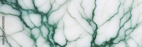 Texture de luxe de modèle vert de marbre blanc pour faire la cuisine en céramique lumière carrelage blanc fond mur de pierre sol en granit style naturel sans couture vintage pour la décoration.