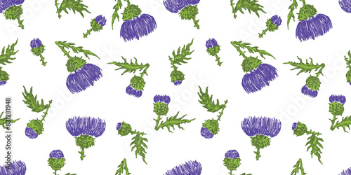 Thistle, flower heads, wildflower, purple, seamless pattern, vector illustration, background, paper, textile, wallpaper