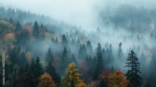 Autumnal colors in the region of Kranjska Gora, Slovenia