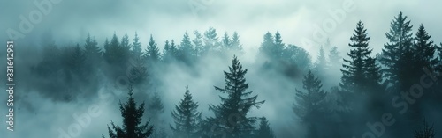 Mystical Black Forest Fog: Breathtaking Silhouette Landscape Panorama Banner