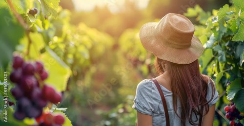 Woman in vineyard with straw hat looking at grape clusters