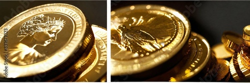 Set of gold coins stacks