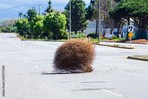 Large dry tumbleweed rolls across a deserted city street on a bright, sunny day