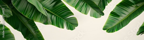 Event poster design, LOHAS, health, sustainable development, nature, minimalism, blank space, C4D rendering, Banana leaves