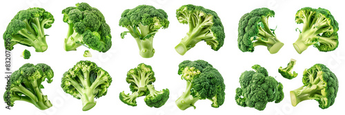 Broccoli isolated. Broccoli on white. Whole, half, slice, cut broccoli set.