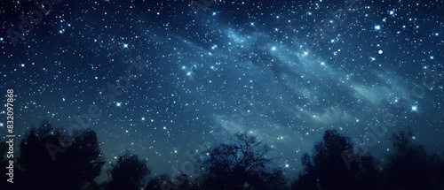 Highly Detailed Starry Night Sky Photography with Galaxy