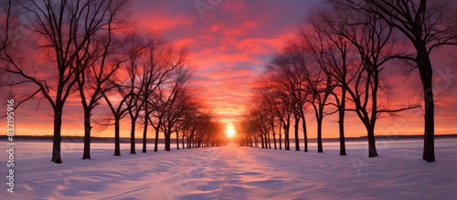 brilliant colored winter sunset through the leafless trees in wisconsin. Creative banner. Copyspace image