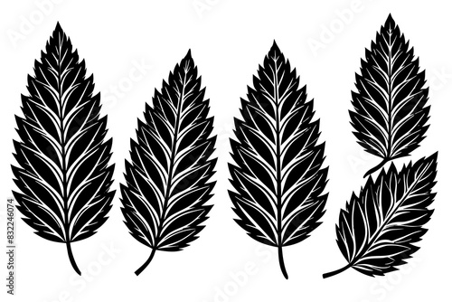 Set of leaf silhouettes