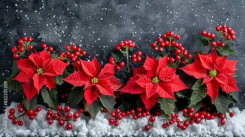 Fir tree twigs and poinsettia flowers on a simple background with copy space